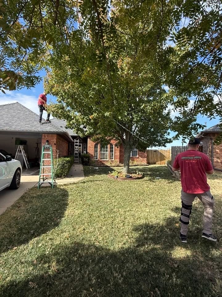 Daytime light installation with a ladder beside the house