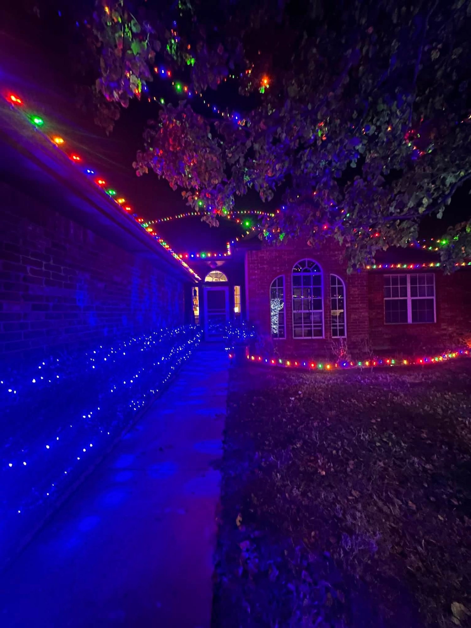 Multi-color roofline with blue lights on the bushes